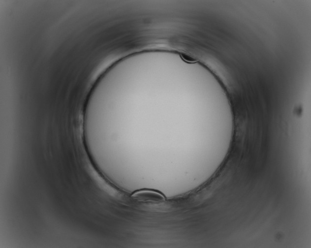 X0000101991476200808081622