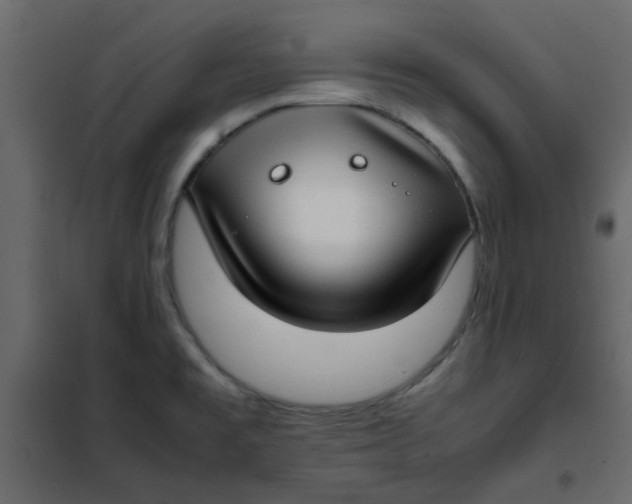 X0000101991477200808081622