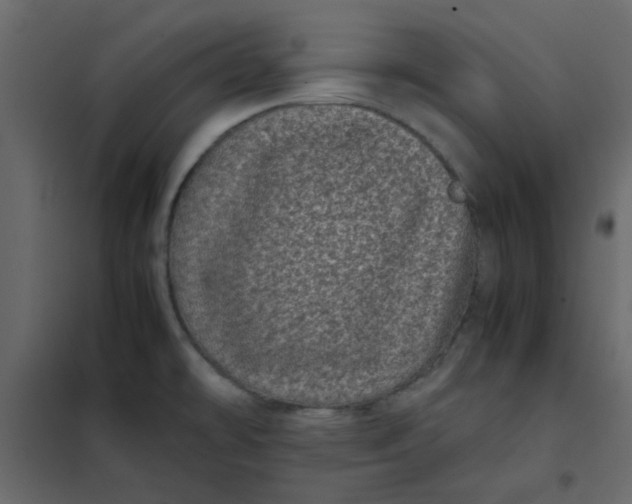 X0000101991478200808081622