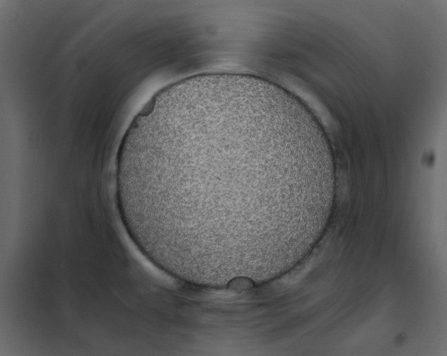 X0000101991479200808081622