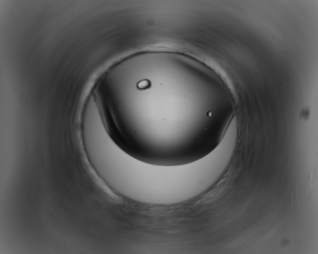 X0000101991480200808081622