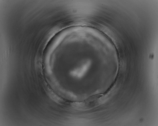 X0000101991481200808081622