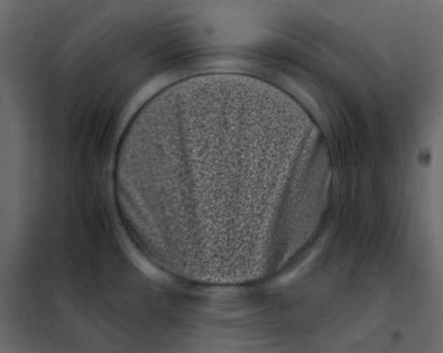 X0000101991482200808081622