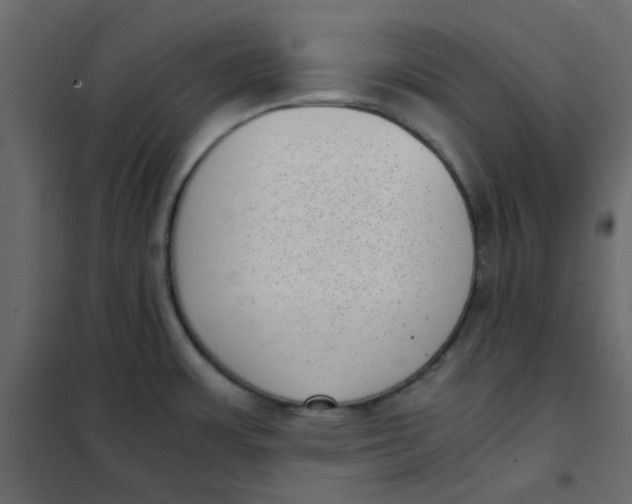 X0000101991483200808081622