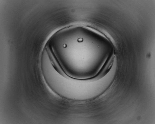 X0000101991484200808081622