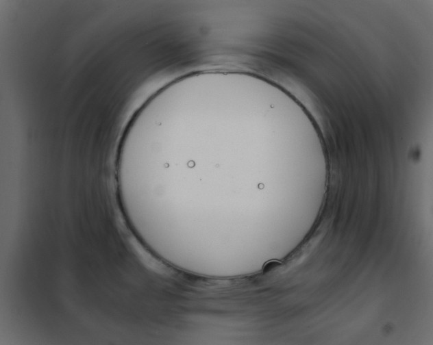 X0000101991485200808081622