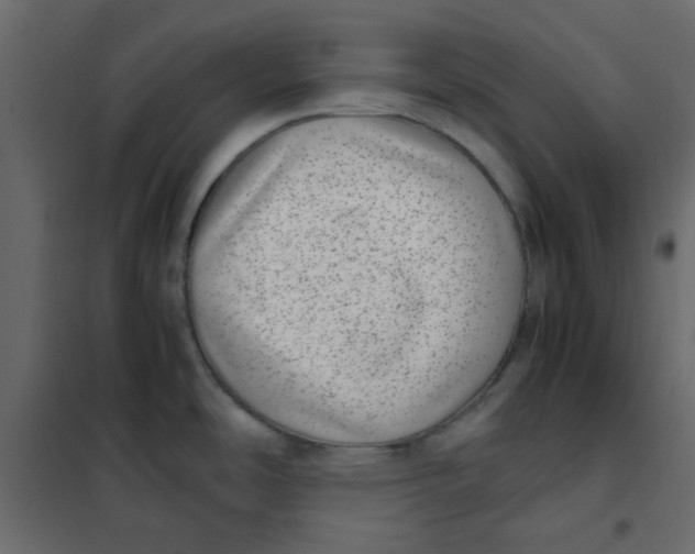 X0000101991486200808081622