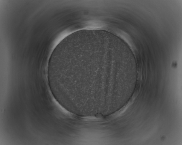 X0000101991487200808081622