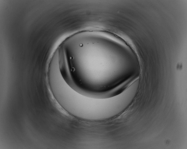 X0000101991488200808081622