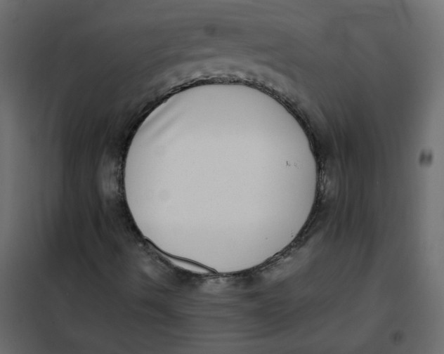 X0000101991490200808081621