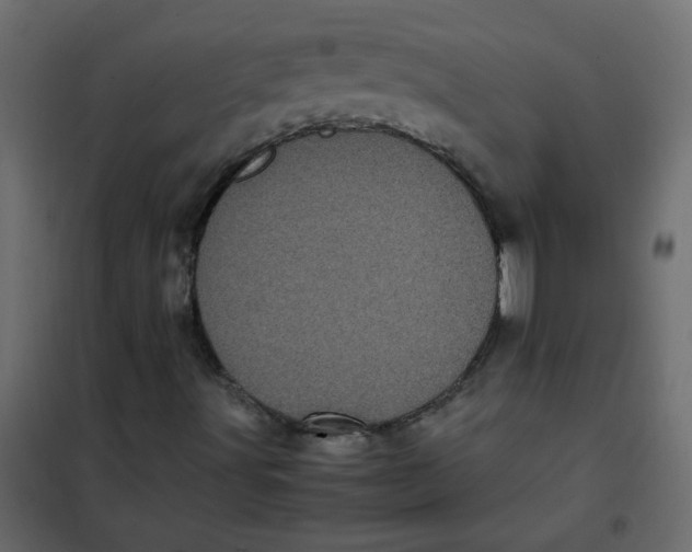 X0000101991491200808081621