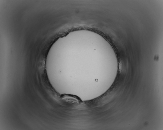 X0000101991492200808081621