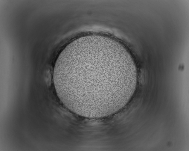 X0000101991493200808081621