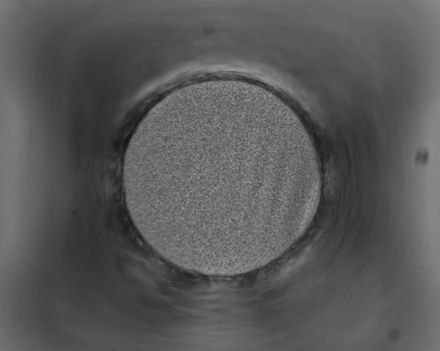 X0000101991494200808081621