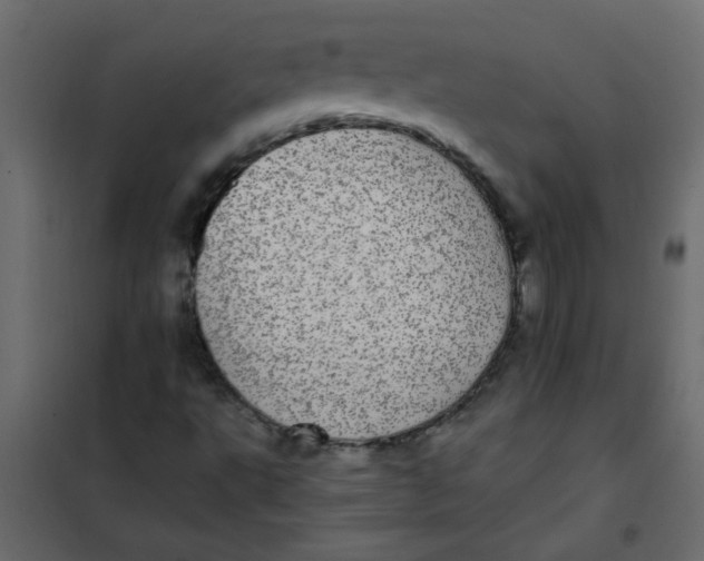 X0000101991495200808081621