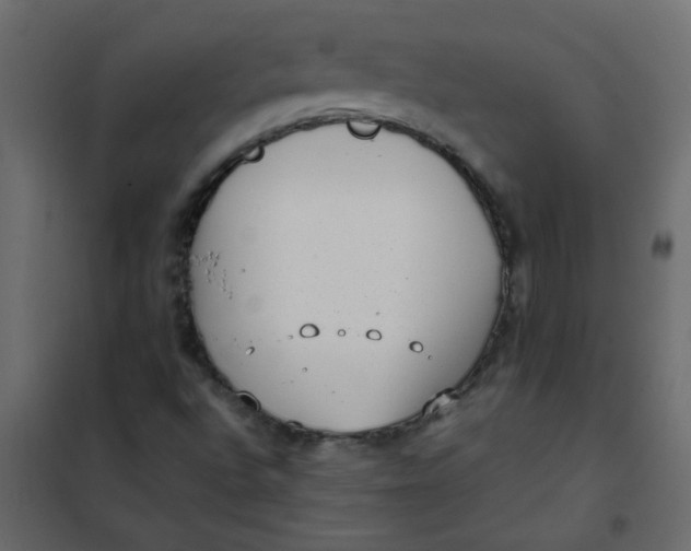 X0000101991496200808081621