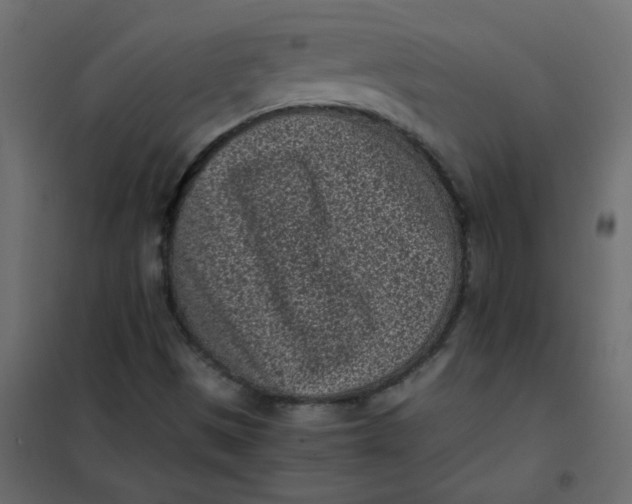 X0000101991497200808081621