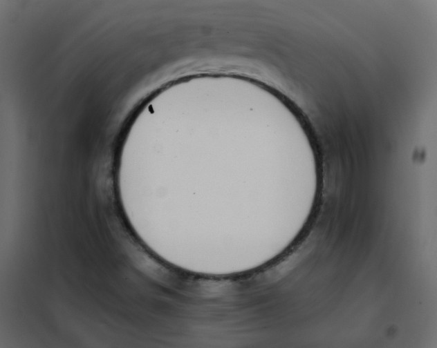 X0000101991498200808081621