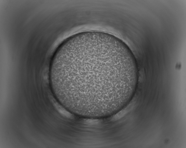 X0000101991499200808081621