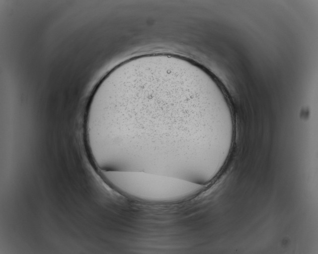 X0000101991500200808081621