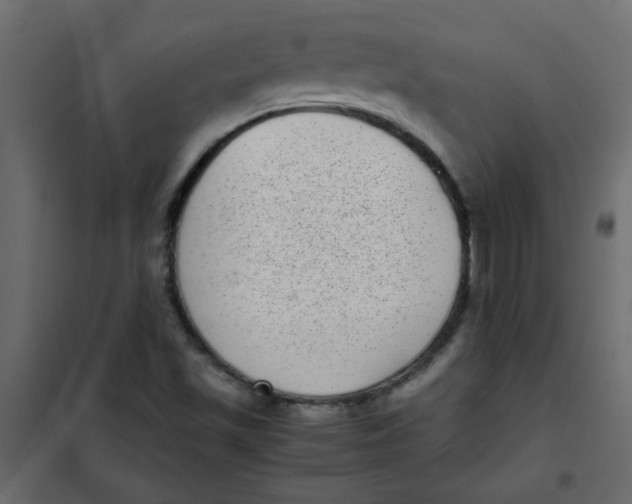 X0000101991501200808081621