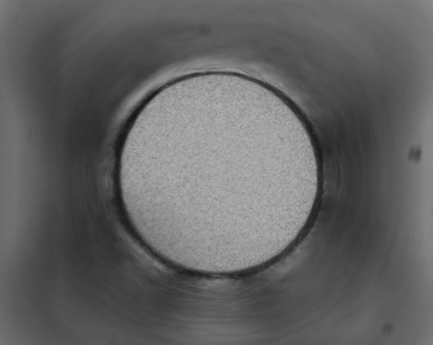 X0000101991502200808081621