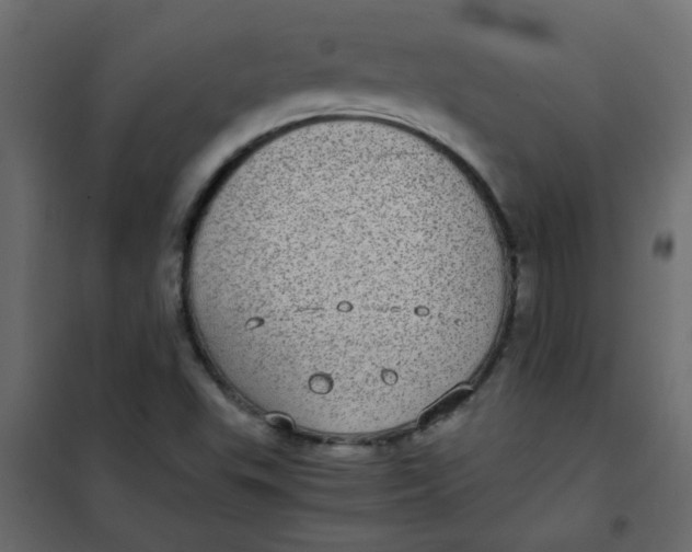 X0000101991503200808081621