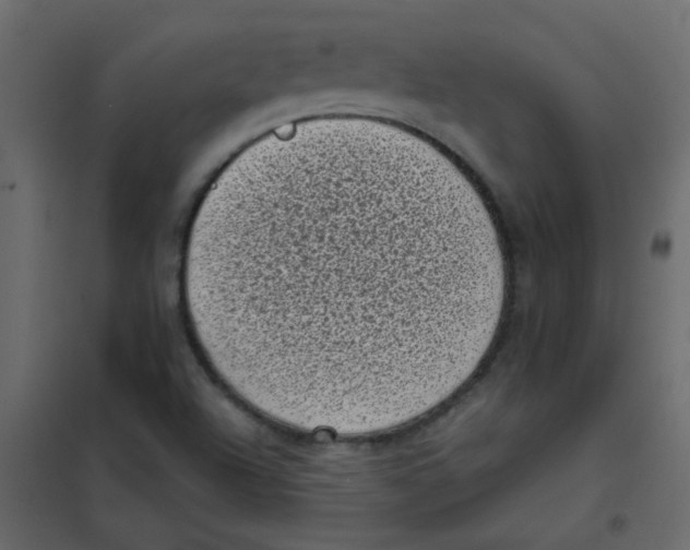 X0000101991504200808081621