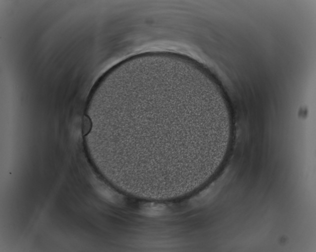 X0000101991505200808081621