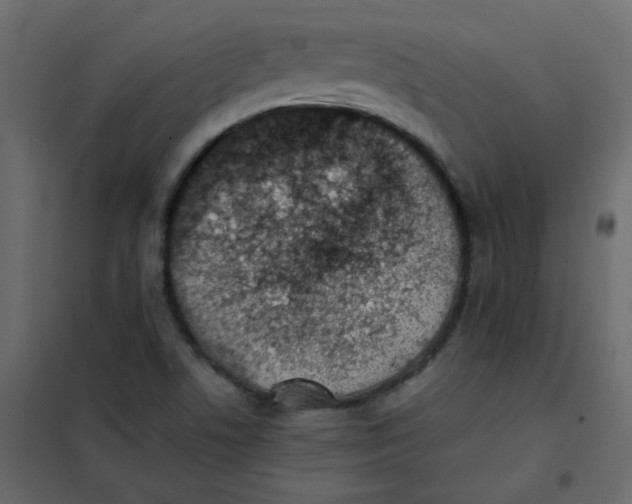 X0000101991506200808081621