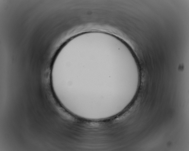 X0000101991507200808081621