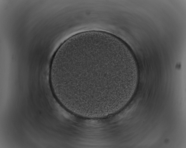 X0000101991508200808081621