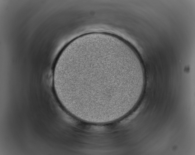 X0000101991509200808081621