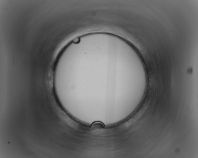 X0000101991510200808081621