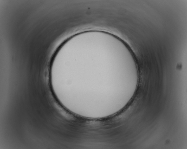 X0000101991511200808081621