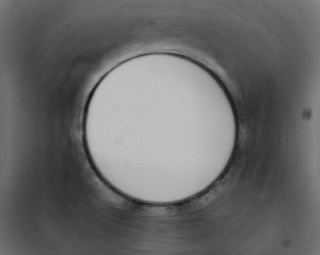 X0000101991512200808081622