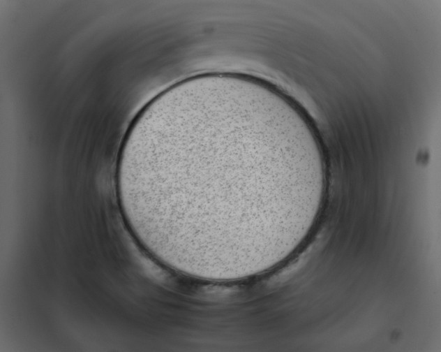 X0000101991513200808081622