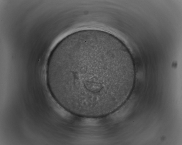 X0000101991514200808081622