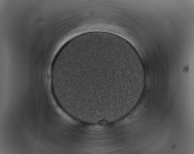 X0000101991515200808081622