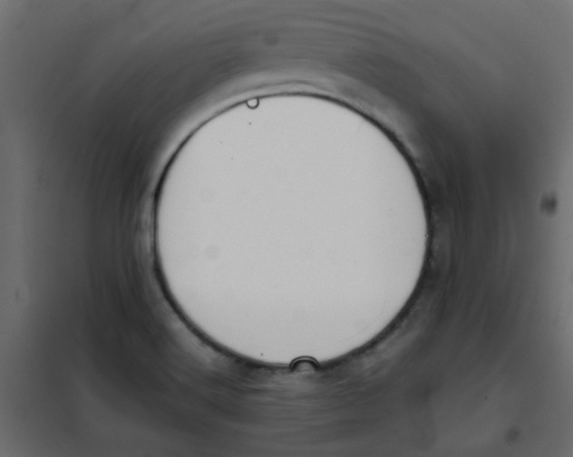 X0000101991516200808081622