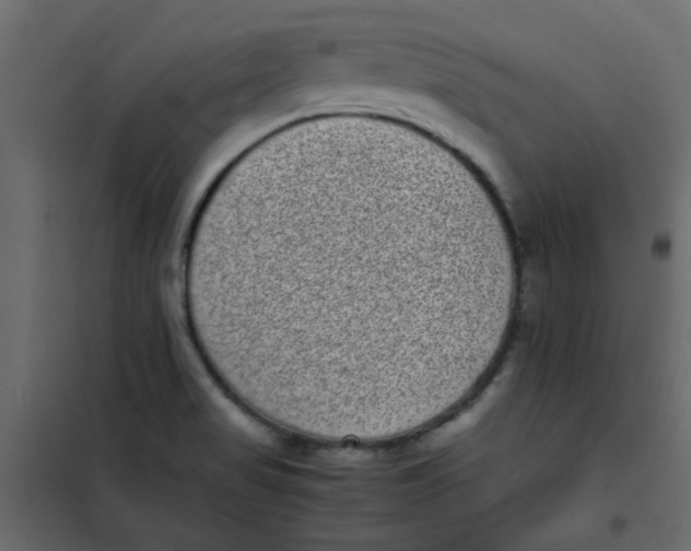 X0000101991517200808081622