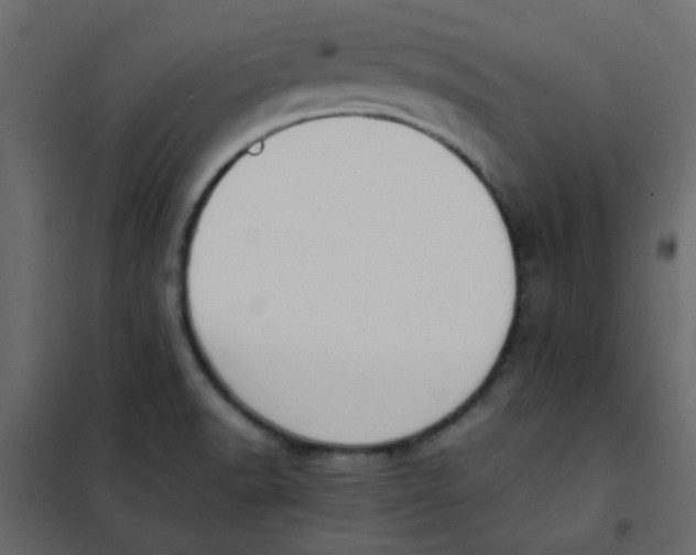 X0000101991518200808081622