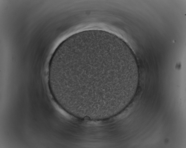 X0000101991519200808081622