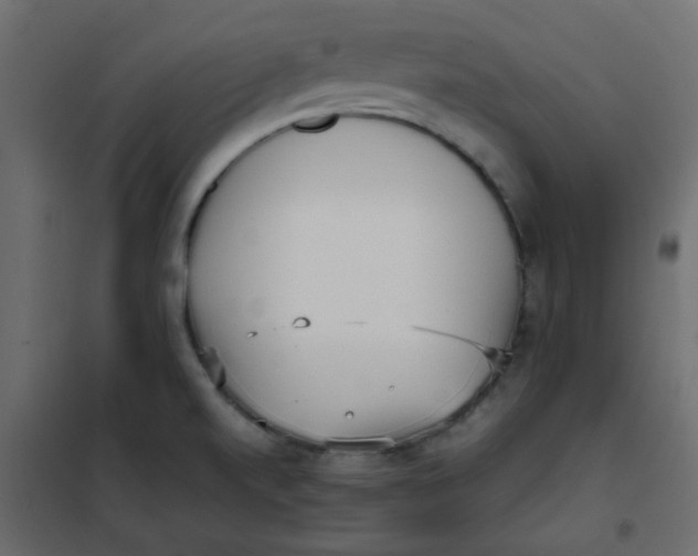 X0000101991520200808081622