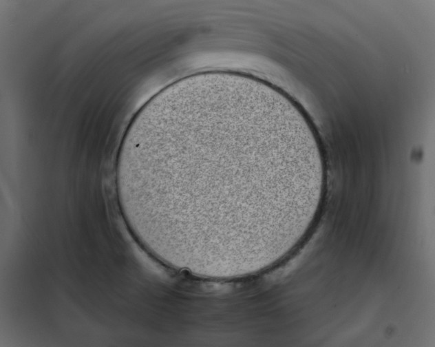 X0000101991521200808081622