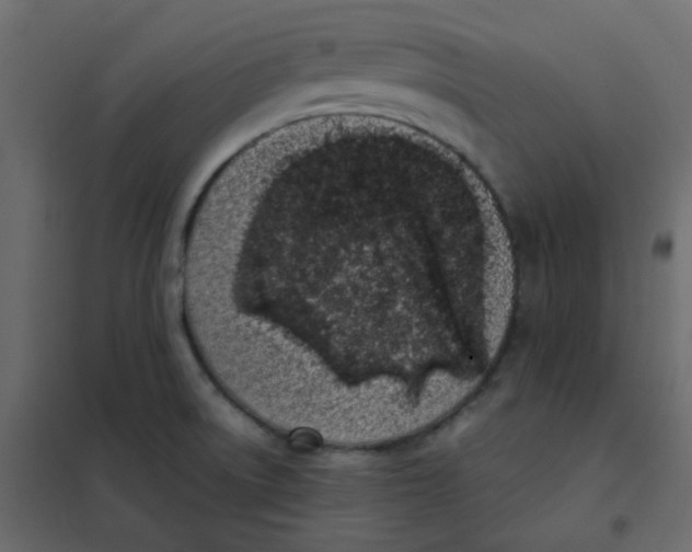 X0000101991522200808081622