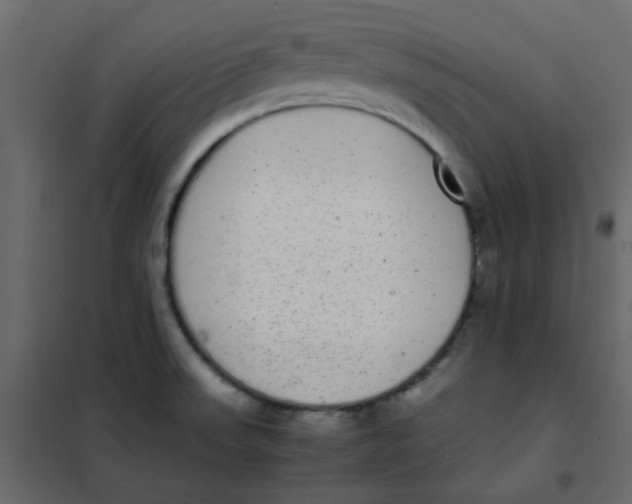 X0000101991523200808081622