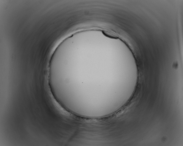 X0000101991524200808081622