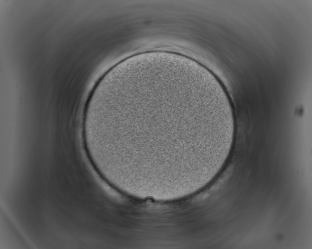 X0000101991525200808081622