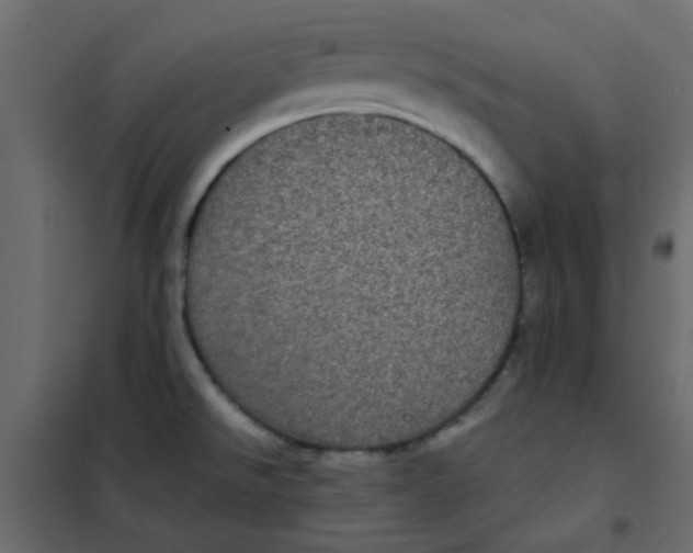 X0000101991526200808081622